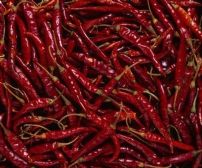 Indian chilli,Dry turmeric,Ginger